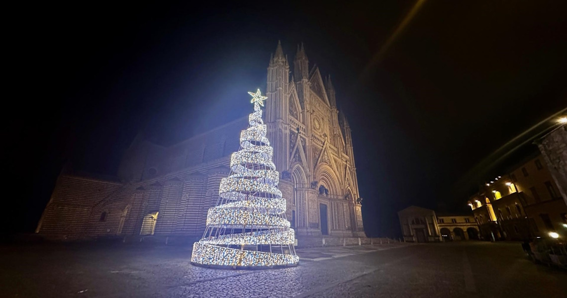 view of the Christmas tree set up in Piazza Duomo - Orvieto